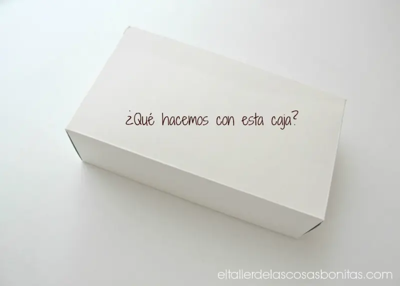 cámara de cartón_01