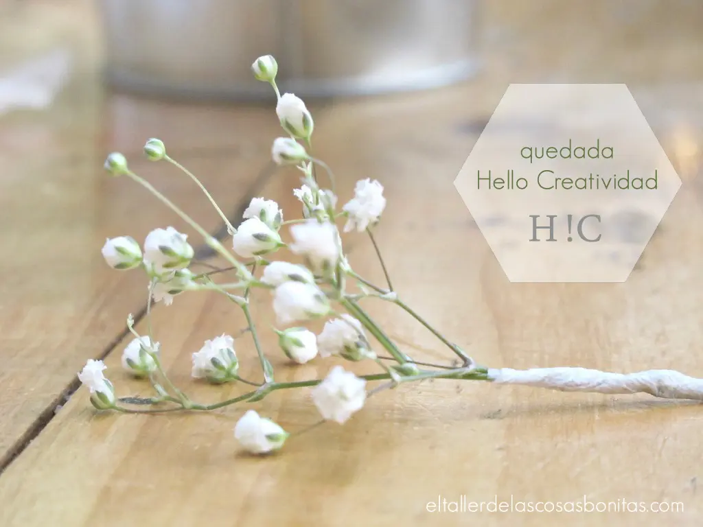 Hello Creatividad (1)