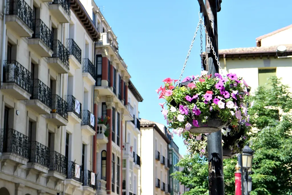 san bernabe logroño_06