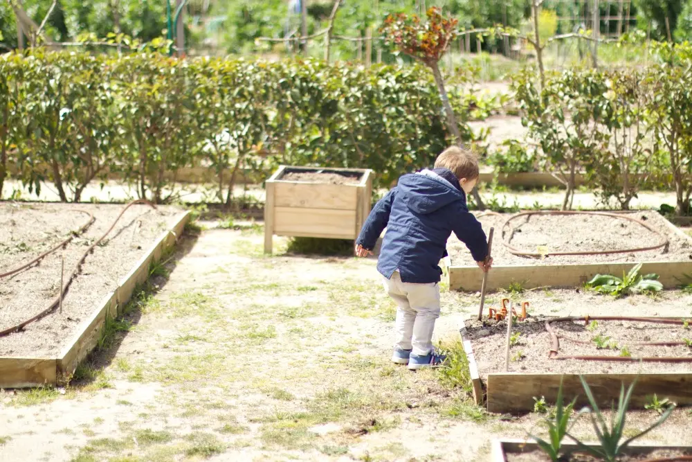 Una mañana en la huerta con niños 10