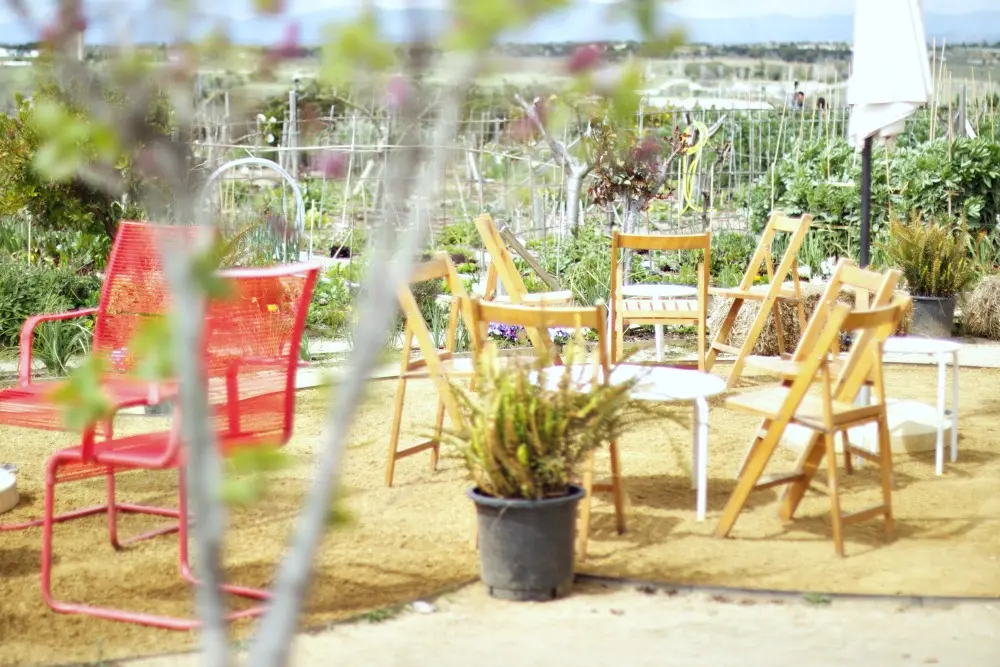 Una mañana en la huerta con niños 3