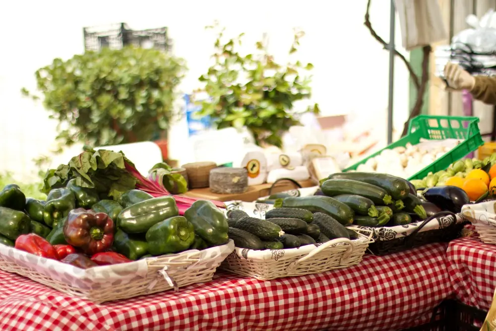 Una mañana en la huerta con niños 6