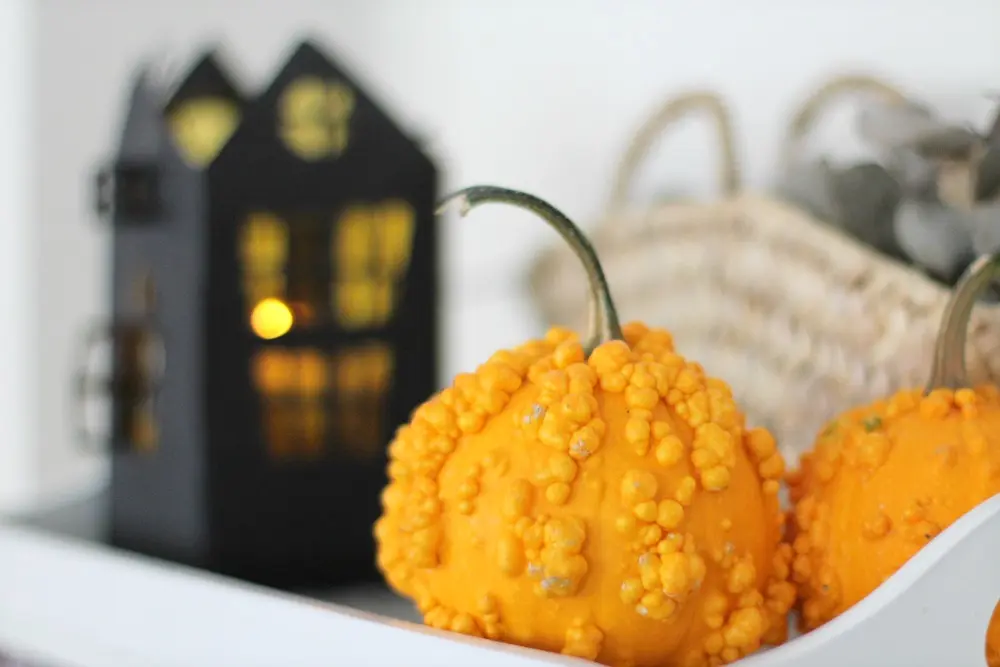 casa-linterna-de-papel-halloween-2