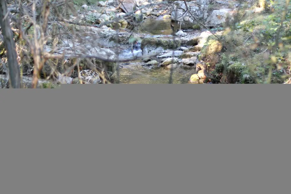 excursion-sierra-cebollera-la-rioja-10